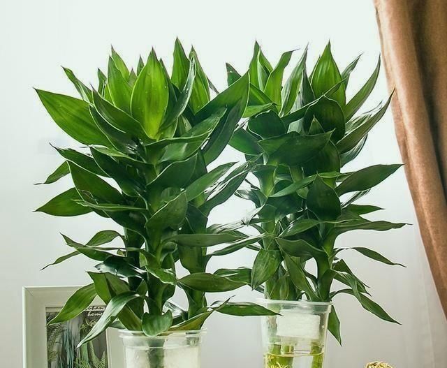 政务新媒体建设须告别“纸上重视”_时事政治_中公教育网‘十大外围足球平台app’(图2) 十大外围足球平台app