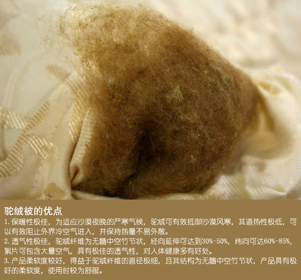 十大外围足球平台app