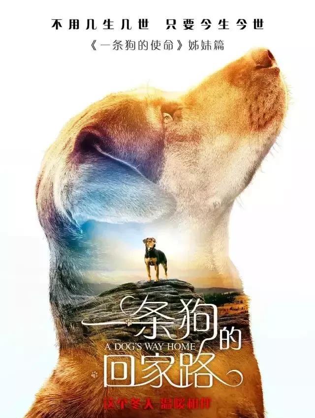 十大外围足球平台app