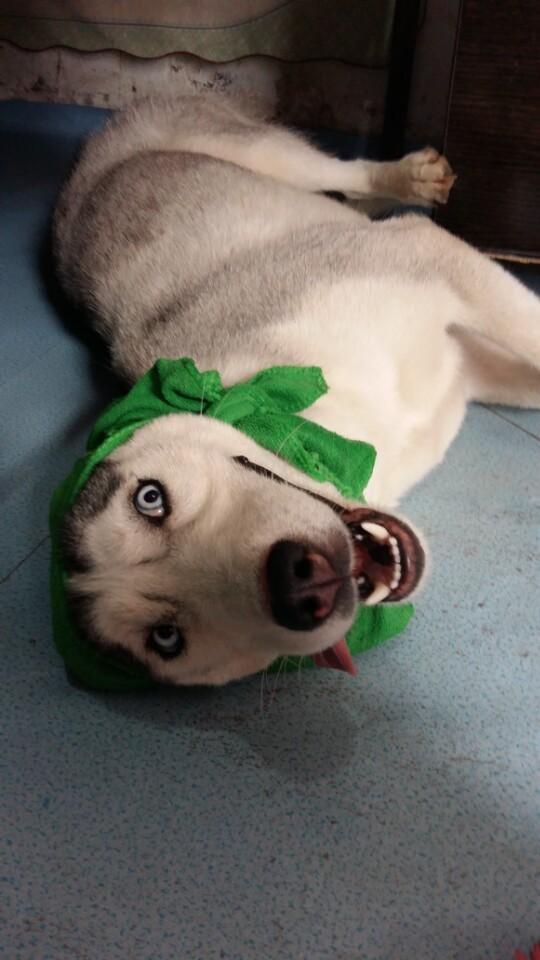 十大外围足球平台app