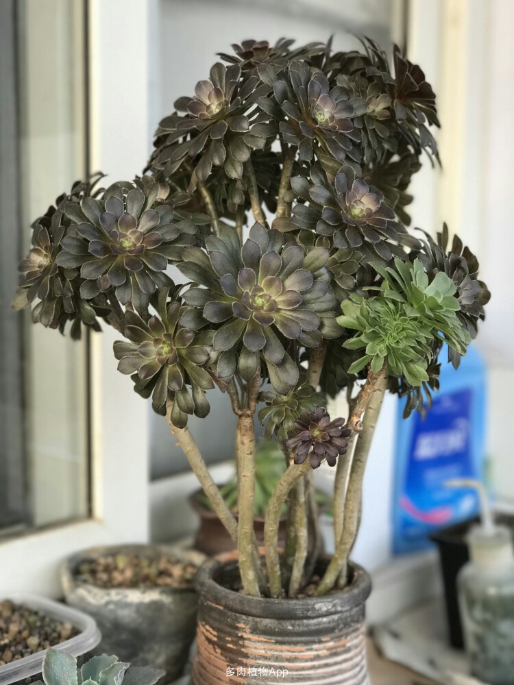 十大外围足球平台app