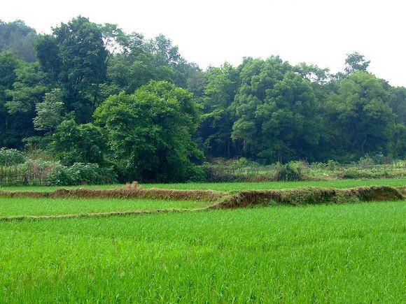 十大外围足球平台app