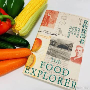 十大外围足球平台app