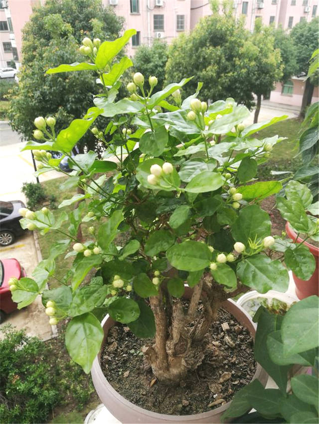 十大外围足球平台app