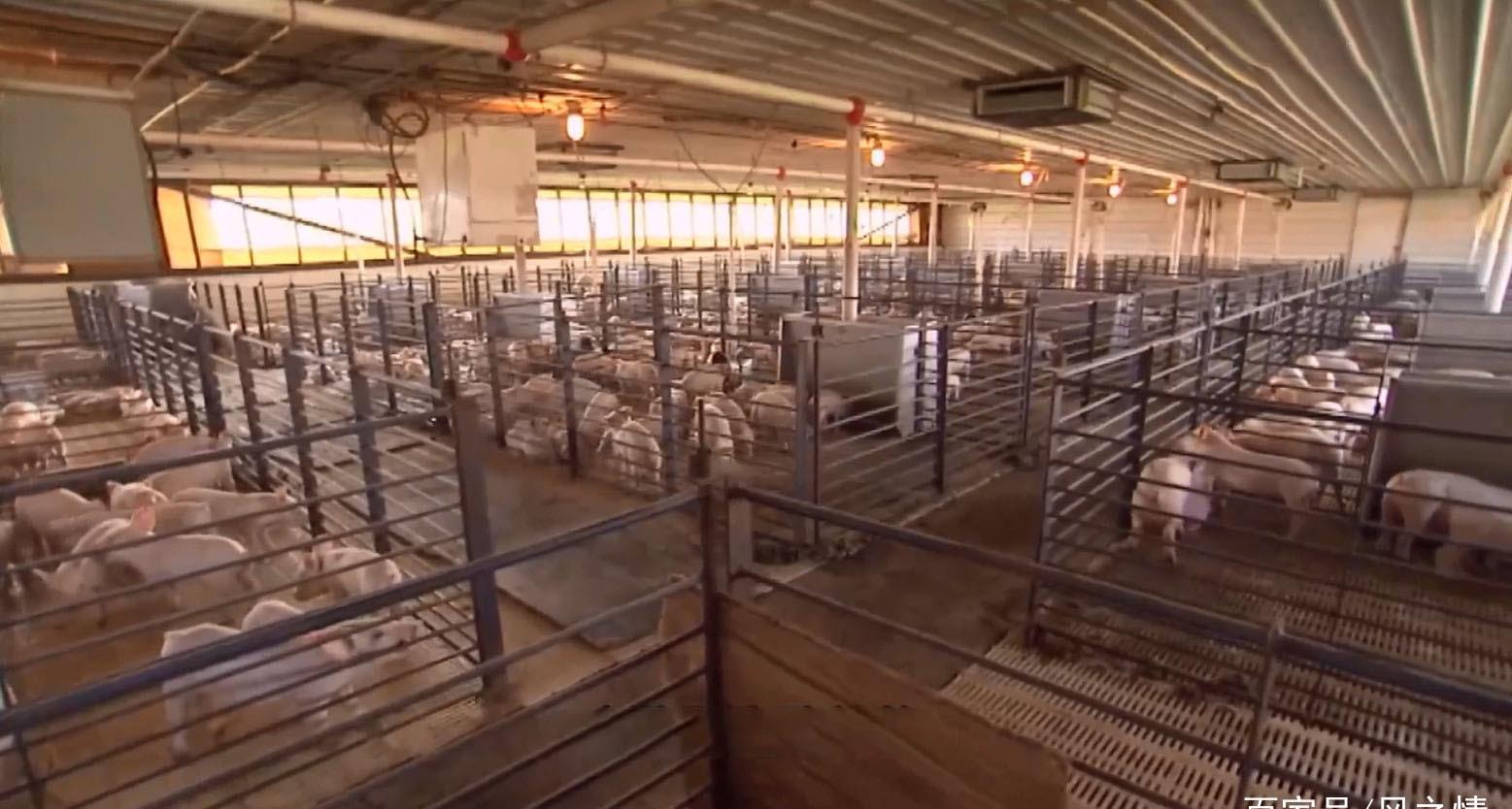 相信“内部指标”是潜规则思维作祟_时事政治_中公教育网|十大外围足球平台app(图2) 十大外围足球平台app