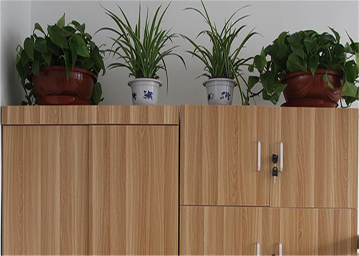 十大外围足球平台app