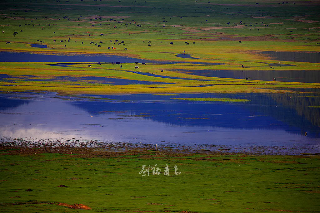 十大外围足球平台app-终于来了!中国男篮世界杯12人名单出炉,首战对手是科特迪瓦(图3) 十大外围足球平台app