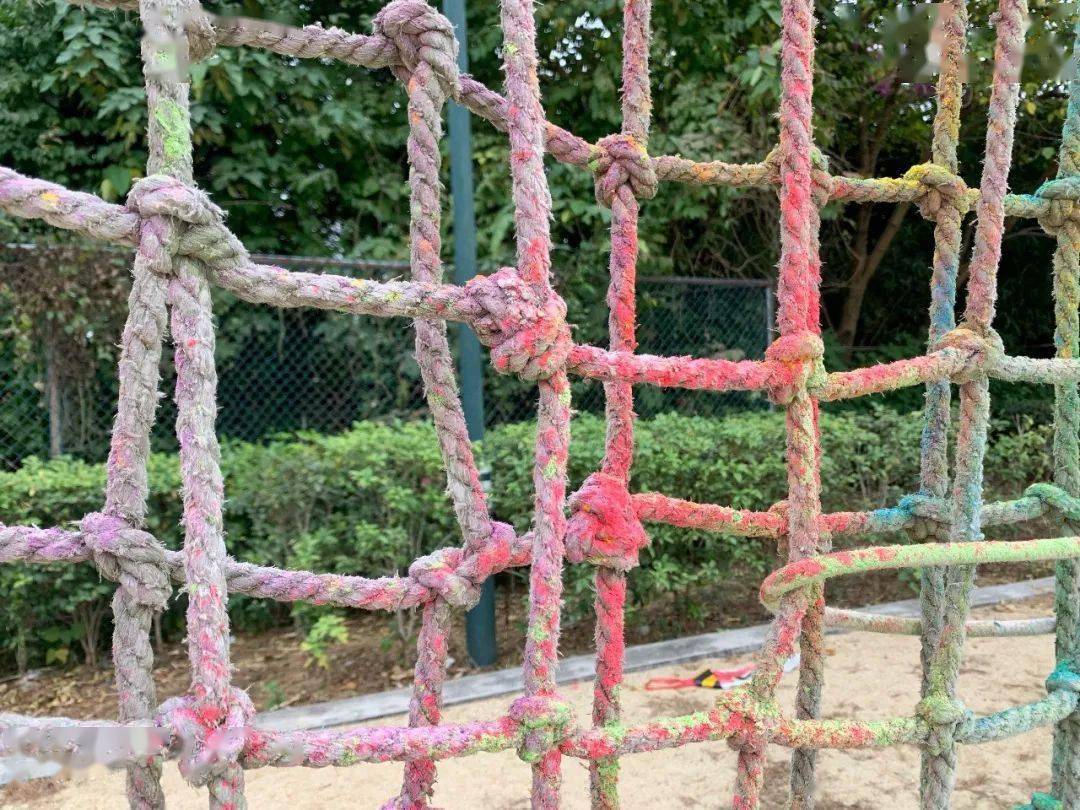 十大外围足球平台app|
校园一角(图9) 十大外围足球平台app|
校园一角(图9)