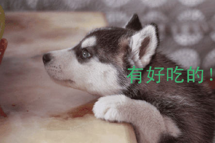 灌篮妙手里,那些帅气的球鞋都在这_十大外围足球平台app(图2) 十大外围足球平台app