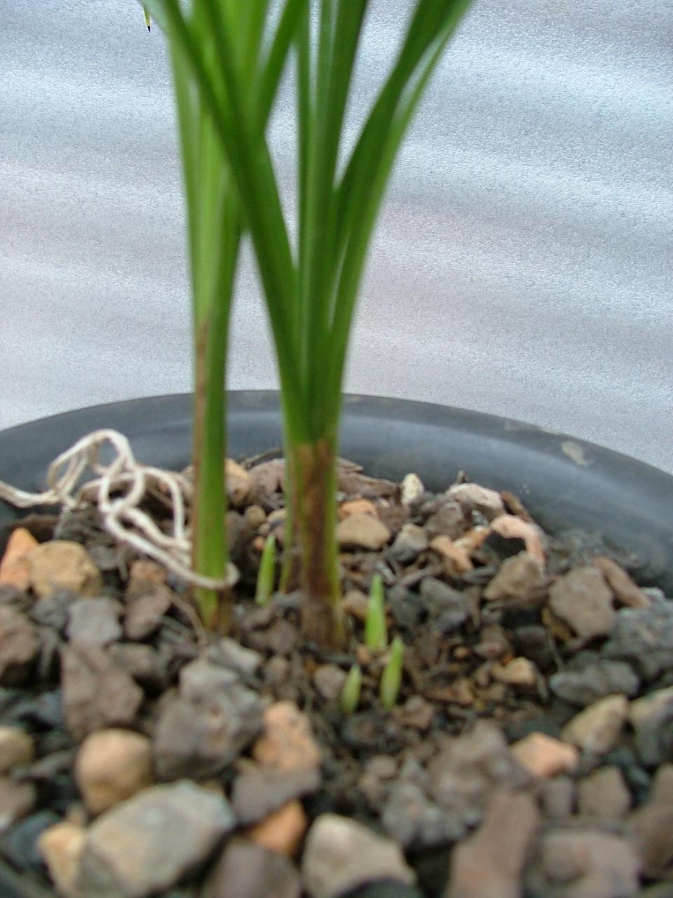 十大外围足球平台app|霍州市开元街道党工委机关支部组织开展了 “提高政治意识▪维护国家安全”主题党日活动(图1) 十大外围足球平台app