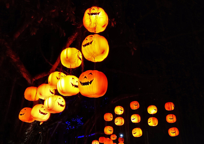 十大外围足球平台app