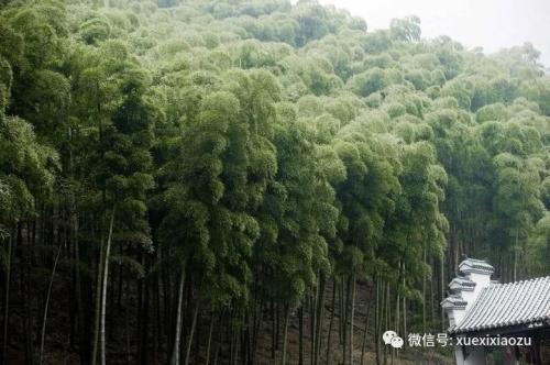 十大外围足球平台app