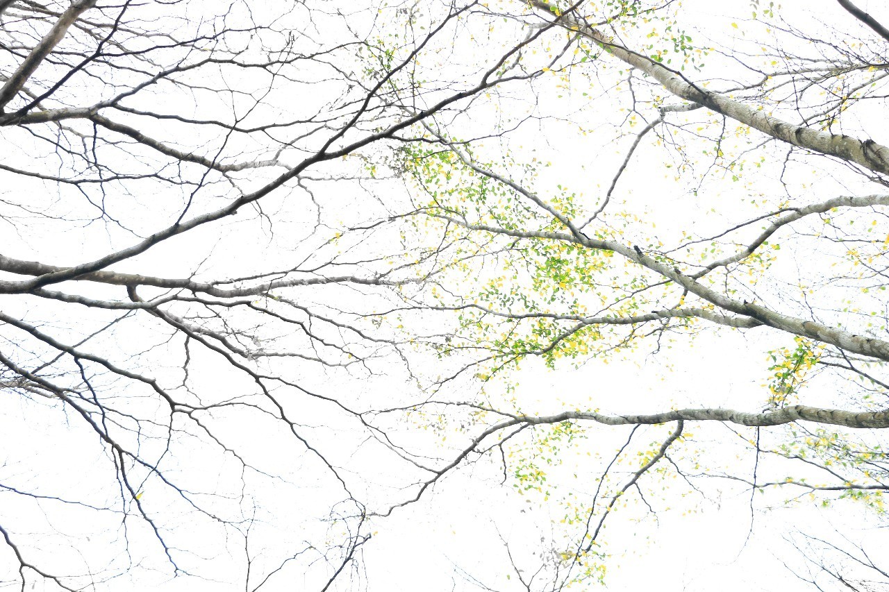 十大外围足球平台app